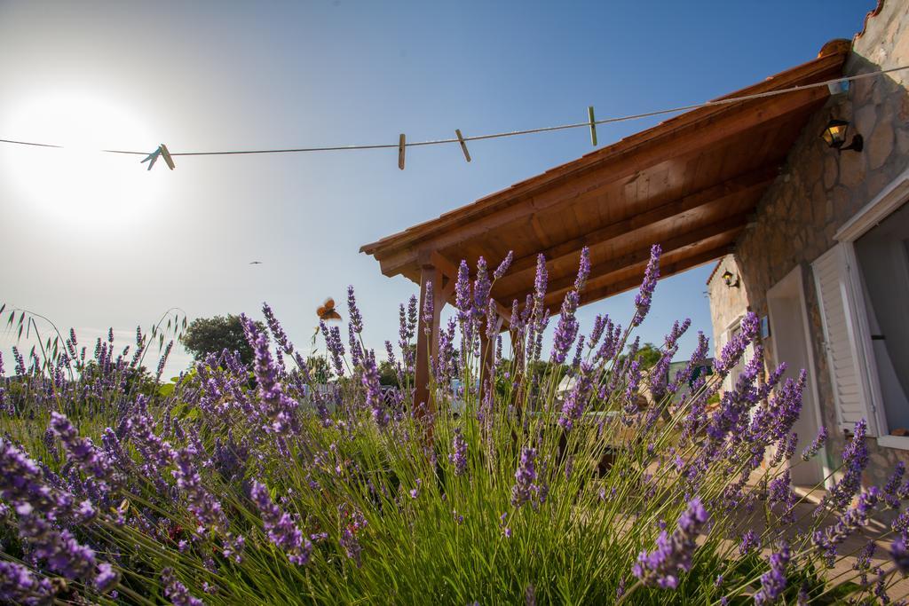 Krcina Holiday Home Cres Eksteriør bilde